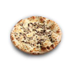فطر
